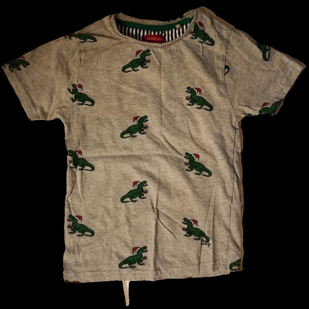 ❤️3/15$❤️Cactus boys Grey green t shirt size 5-6 T Christmas dinosaurs top